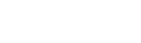 ALSAV Ростов-на-Дону